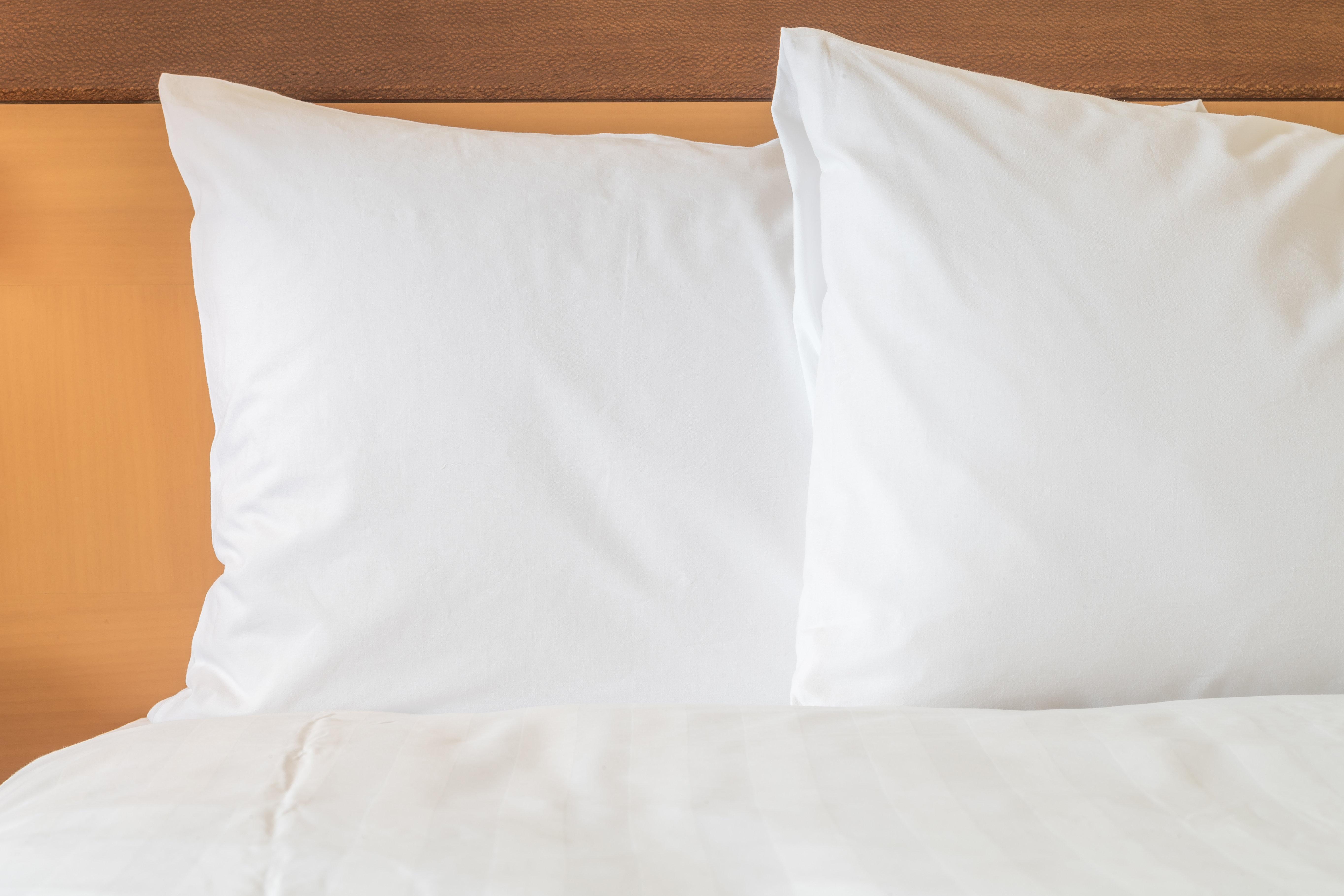 Holiday Inn Express Hotels & Suites Jacksonville By Ihg Buitenkant foto